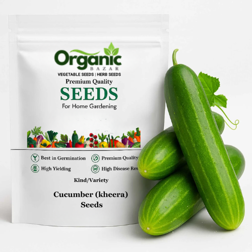 Cucumber (Kheera) Hybrid Seeds