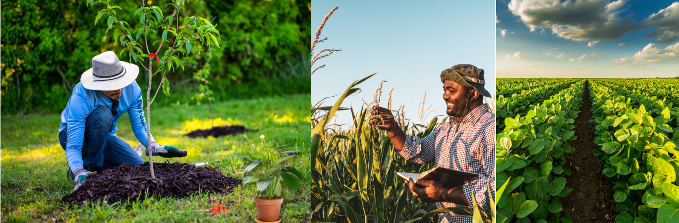 OrganicBazar Ecommerce promo