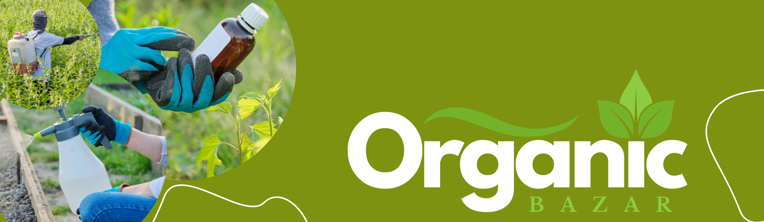 furniture Ecommerce promo