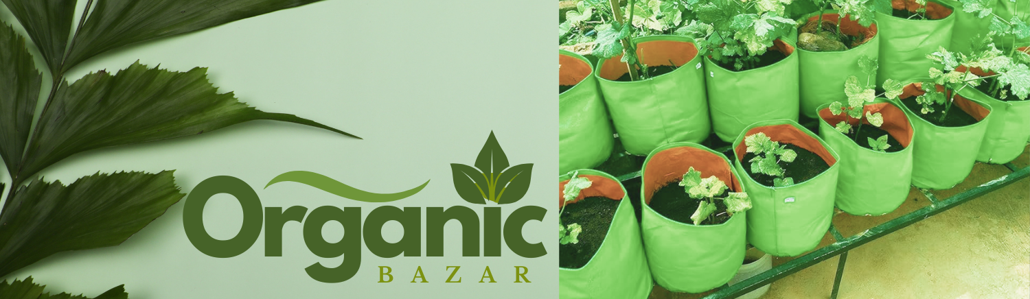 furniture Ecommerce promo