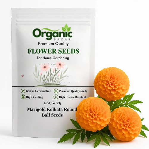 Marigold (Genda) Kolkata Seeds