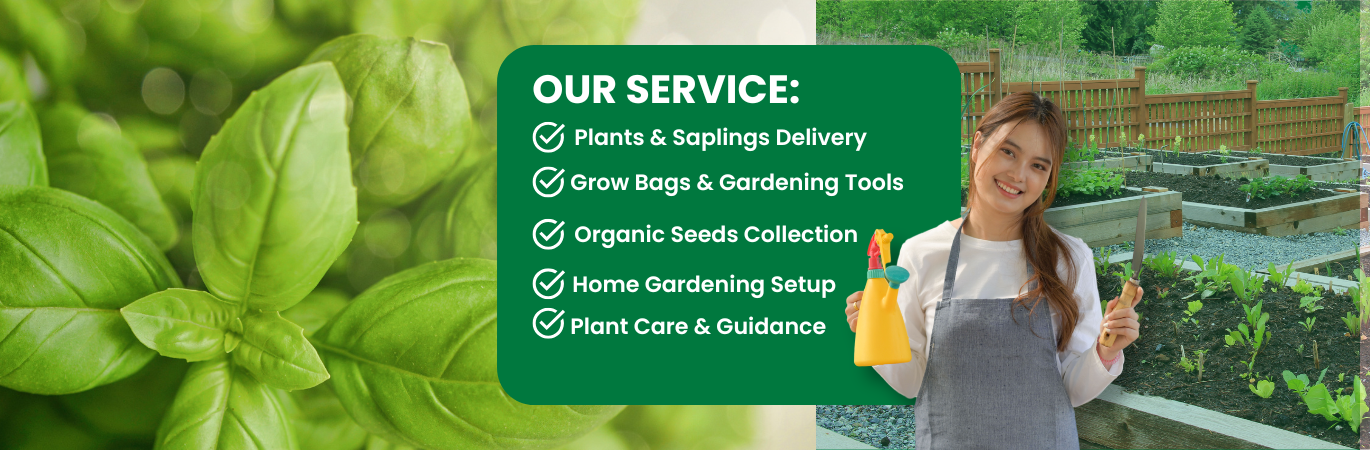 OrganicBazar Ecommerce promo