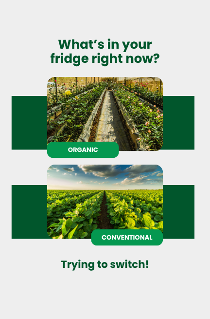 OrganicBazar Ecommerce promo